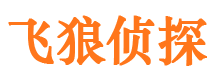 岚县市婚姻出轨调查